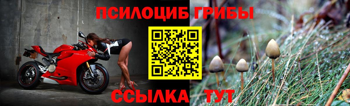 Псилоцибиновые грибы ЛСД Белогорск